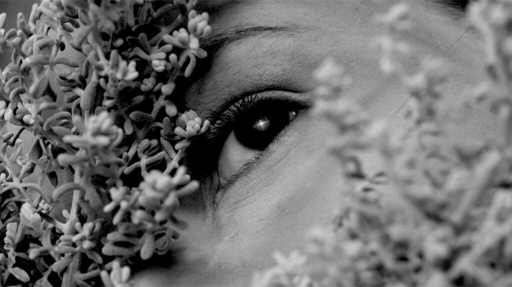 black and white photo focusing on a human eye