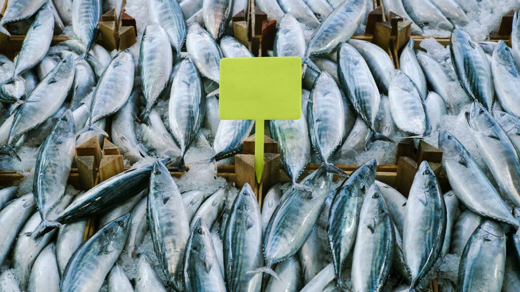 Loads of freshly caught fish, a source of zinc, on a counter