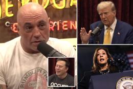 Joe Rogan makes 2024 presidential endorsement while promoting Elon Musk interview on X