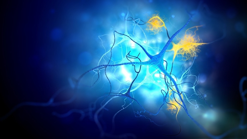 Study: Neuronal BAG3 attenuates tau hyperphosphorylation, synaptic dysfunction, and cognitive deficits induced by traumatic brain injury via the regulation of autophagy-lysosome pathway. Image Credit: Andrii Vodolazhskyi/Shutterstock.com