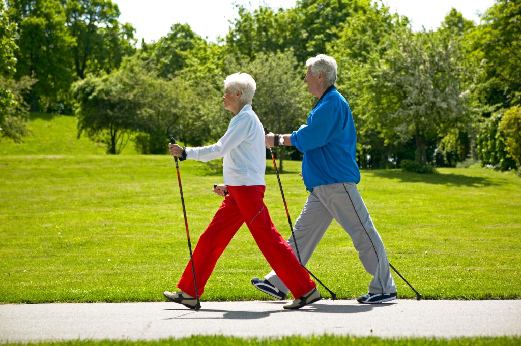 Walking and other physical activity can decrease the risk of heart disease, obesity, diabetes, stroke, certain cancers and other chronic conditions.