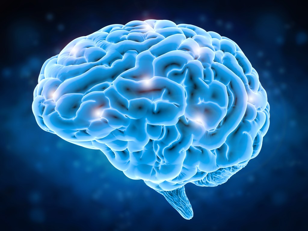 brain-power-concept-3d-rendering-98798223 Brain 3d concept