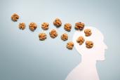 Walnuts are shown here on the outline of a brain.
